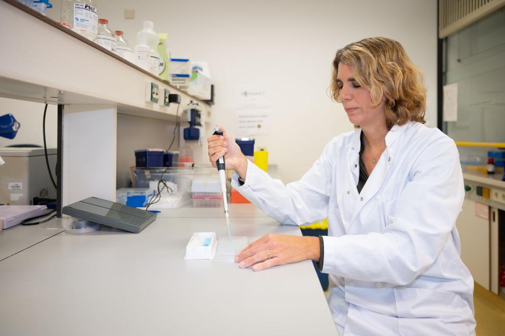Nederlandse onderzoekers zetten stap in stamcelonderzoek voor diabetes type 1